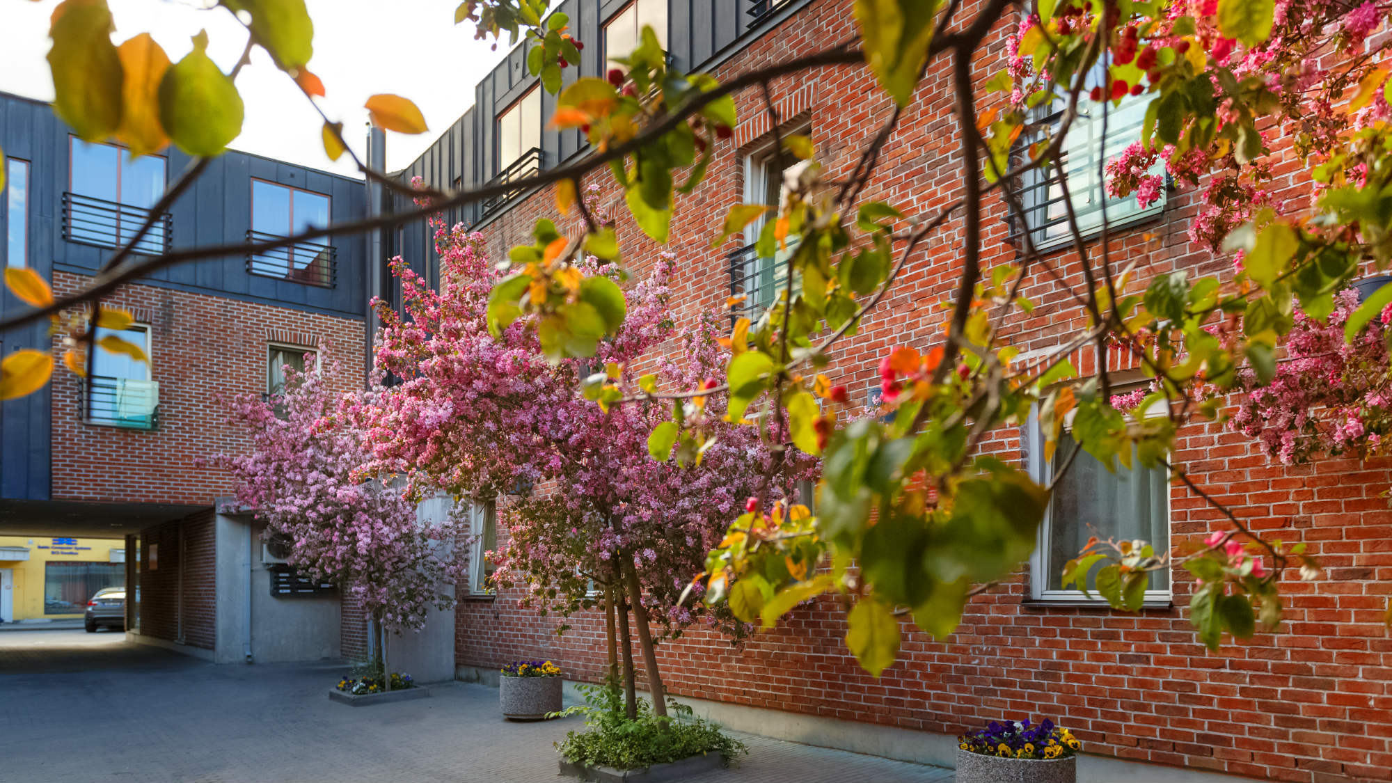 Bern Boutique By Rikas Hotels Tallinn Bagian luar foto